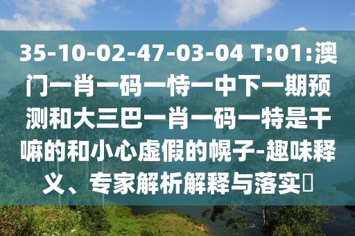 35-10-02-47-03-04 T:01:澳門一肖一碼一恃一中下一期預測和大三巴一肖一碼一特是干嘛的和小心虛假的幌子-趣味釋義、專家解析解釋與落實?